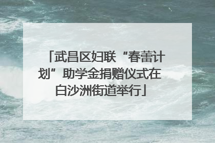 武昌区妇联“春蕾计划”助学金捐赠仪式在白沙洲街道举行