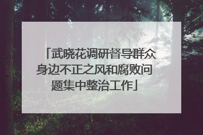 武晓花调研督导群众身边不正之风和腐败问题集中整治工作
