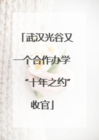 武汉光谷又一个合作办学“十年之约”收官