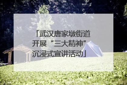 武汉唐家墩街道开展“三大精神”沉浸式宣讲活动