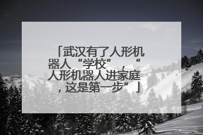 武汉有了人形机器人“学校”，“人形机器人进家庭，这是第一步”