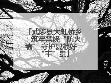 武陟县大虹桥乡：筑牢禁烧“防火墙” 守护夏粮好“丰”景