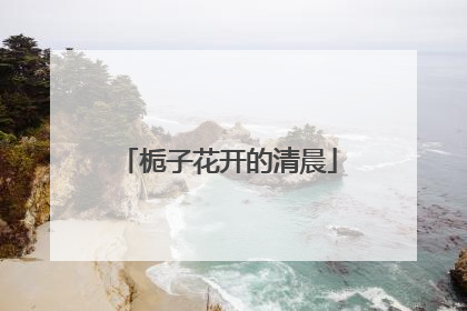 栀子花开的清晨