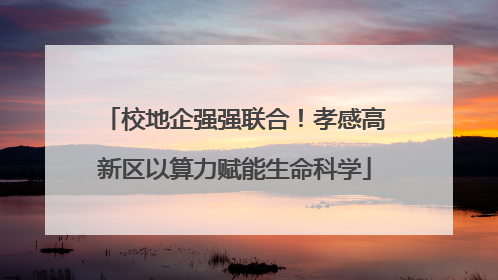 校地企强强联合！孝感高新区以算力赋能生命科学