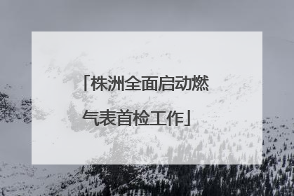 株洲全面启动燃气表首检工作