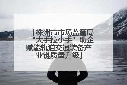 株洲市市场监管局“大手拉小手”助企赋能轨道交通装备产业链质量升级