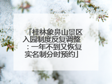 桂林象鼻山景区入园制度反复调整：一年不到又恢复实名制分时预约