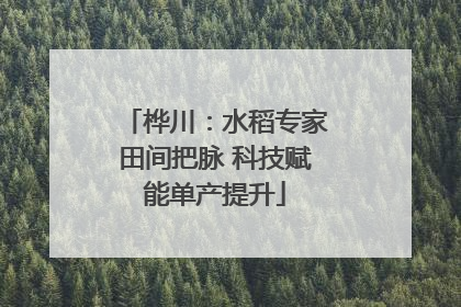 桦川：水稻专家田间把脉 科技赋能单产提升