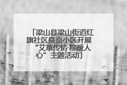 梁山县梁山街道红旗社区良嘉小区开展“艾草传情·粽暖人心”主题活动