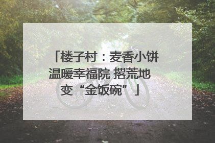 楼子村：麦香小饼温暖幸福院 撂荒地变“金饭碗”
