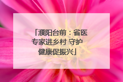 濮阳台前：省医专家进乡村 守护健康促振兴