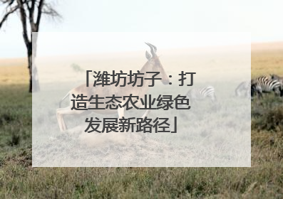 潍坊坊子：打造生态农业绿色发展新路径