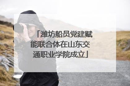 潍坊船员党建赋能联合体在山东交通职业学院成立