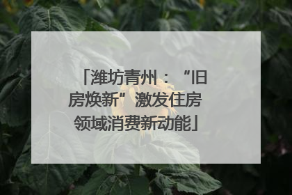 潍坊青州：“旧房焕新”激发住房领域消费新动能