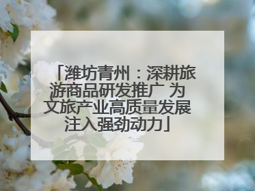潍坊青州：深耕旅游商品研发推广 为文旅产业高质量发展注入强劲动力