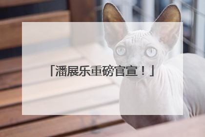 潘展乐重磅官宣！