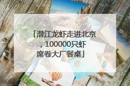潜江龙虾走进北京，100000只虾席卷大厂餐桌