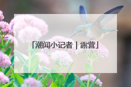 潮闻小记者｜露营