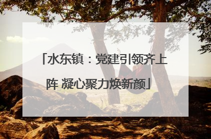 水东镇：党建引领齐上阵 凝心聚力焕新颜