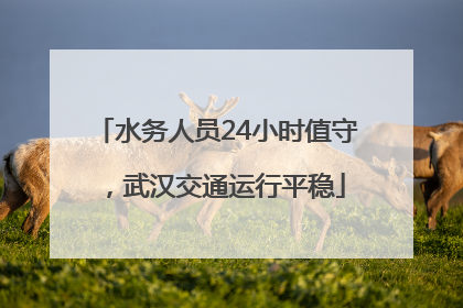 水务人员24小时值守，武汉交通运行平稳