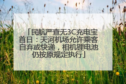 民航严查无3C充电宝首日：天河机场允许乘客自弃或快递，相机锂电池仍按原规定执行