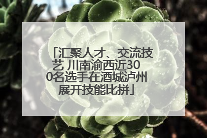 汇聚人才、交流技艺 川南渝西近300名选手在酒城泸州展开技能比拼