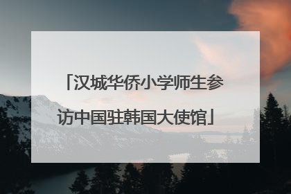 汉城华侨小学师生参访中国驻韩国大使馆
