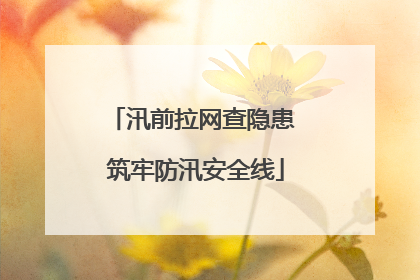 汛前拉网查隐患 筑牢防汛安全线