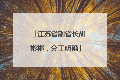 江苏省副省长胡彬郴，分工明确