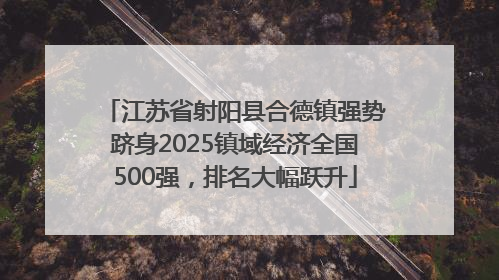 江苏省射阳县合德镇强势跻身2025镇域经济全国500强，排名大幅跃升