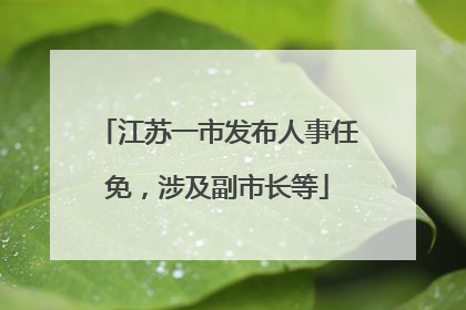 江苏一市发布人事任免，涉及副市长等