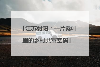 江苏射阳：一片桑叶里的乡村共富密码