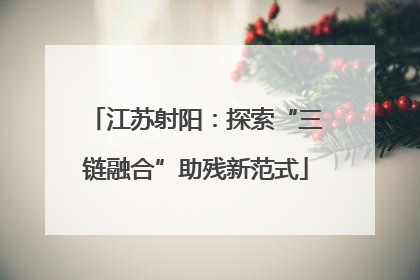 江苏射阳：探索“三链融合”助残新范式