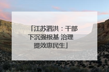 江苏泗洪：干部下沉强根基 治理提效惠民生