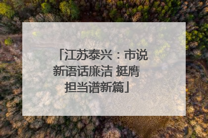 江苏泰兴：市说新语话廉洁 挺膺担当谱新篇