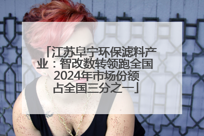 江苏阜宁环保滤料产业：智改数转领跑全国 2024年市场份额占全国三分之一
