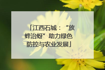 江西石城：“放蜂治蚜”助力绿色防控与农业发展