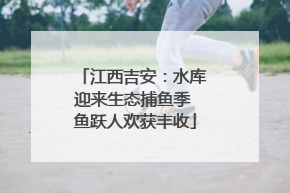 江西吉安：水库迎来生态捕鱼季 鱼跃人欢获丰收
