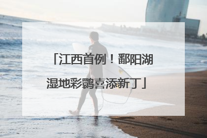 江西首例！鄱阳湖湿地彩鹮喜添新丁