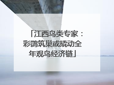 江西鸟类专家：彩鹮筑巢或撬动全年观鸟经济链