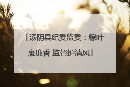 汤阴县纪委监委：粽叶裹廉香 监督护清风