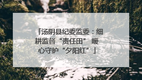 汤阴县纪委监委：细耕监督“责任田” 暖心守护“夕阳红”