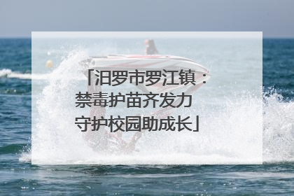 汨罗市罗江镇：禁毒护苗齐发力 守护校园助成长