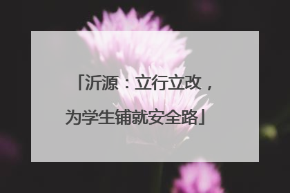 沂源：立行立改，为学生铺就安全路