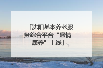 沈阳基本养老服务综合平台“盛情康养”上线