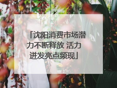 沈阳消费市场潜力不断释放 活力迸发亮点频现