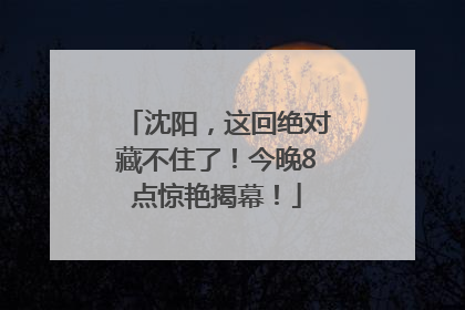 沈阳，这回绝对藏不住了！今晚8点惊艳揭幕！
