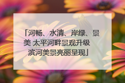 河畅、水清、岸绿、景美 太平河畔景观升级 滨河美景亮丽呈现
