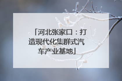 河北张家口：打造现代化集群式汽车产业基地