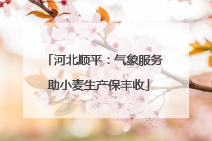 河北顺平：气象服务助小麦生产保丰收